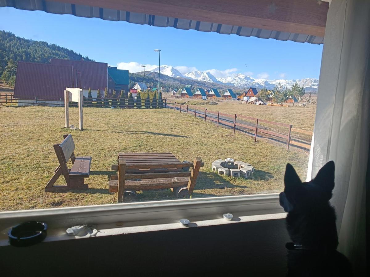 Stay Wild Zabljak  Bagian luar foto