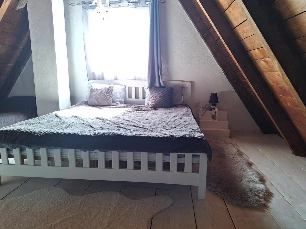 Stay Wild Zabljak  Bagian luar foto
